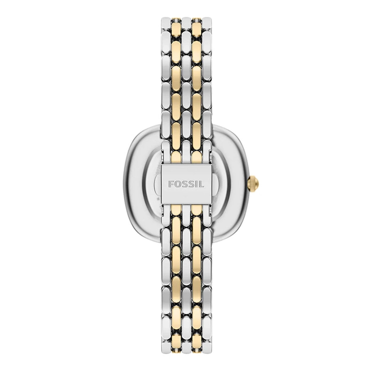 Reloj Fossil ES5509 - vista 2
