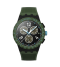 Swatch Chrono SUSB421 vista 1