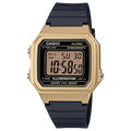 Reloj Para Hombre Casio W-217HM-9A